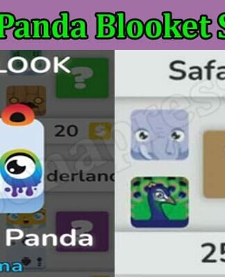 Safari Box Blooket (Feb 2022) Find The Mystery Inside The Box ?