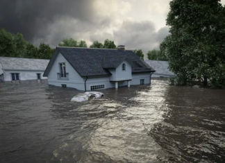 How Do Public Adjusters Help With Flood Recovery?