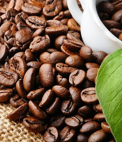 Top health benefits of coffee beans