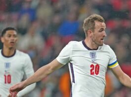 FIFA World Cup 2022 Predictions