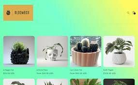 Blumebox3d Review {2023} Check Its Legitimacy Here!