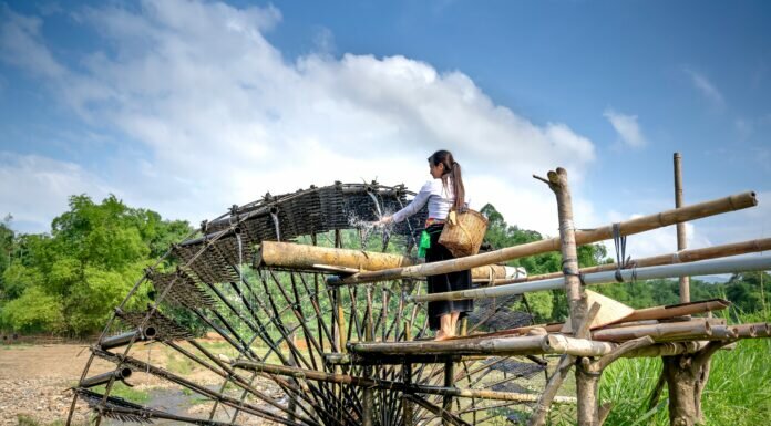 Efficient Farming: Tips and Tricks for Proper Water Management