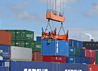 How Can Container Liners Help Your Business?